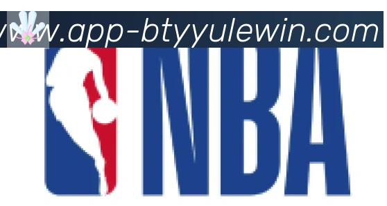 B体育官网合作伙伴